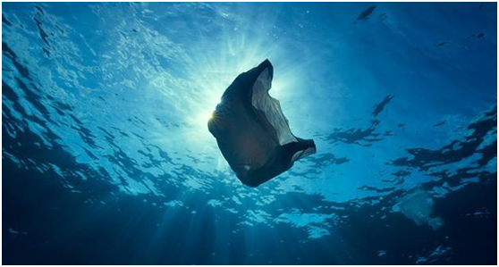 恒譽環(huán)保：引領“塑料回收”新時代，助力解決塑料污染