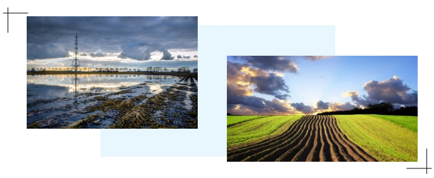 恒譽(yù)環(huán)保:含油污泥熱解無害化處置和資源化利用解決方案