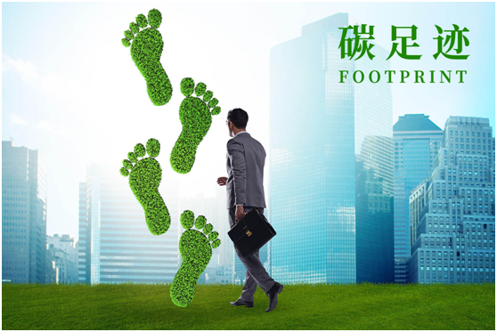 什么是碳足跡？如何計算與查詢碳足跡？